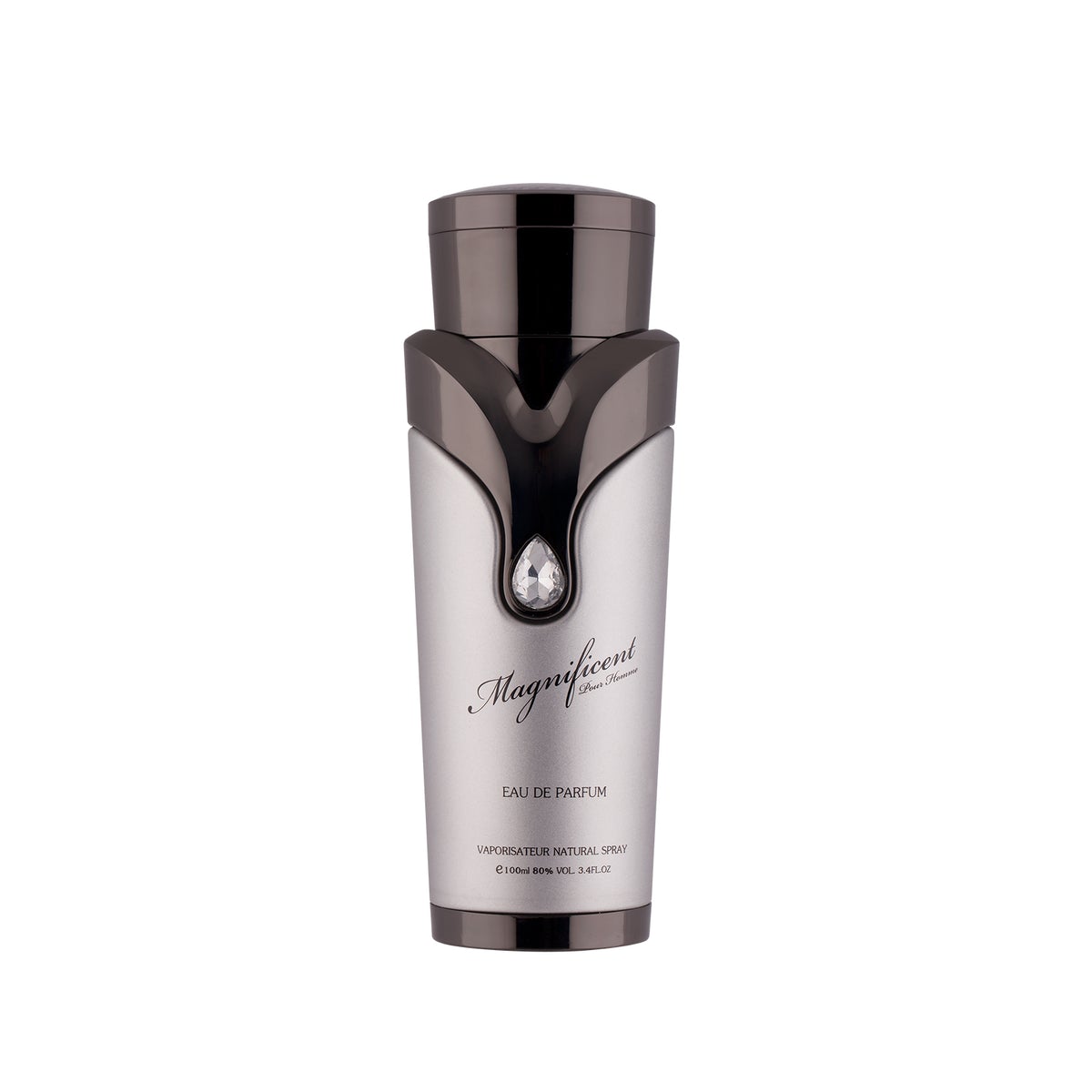 magnificent pour homme silver